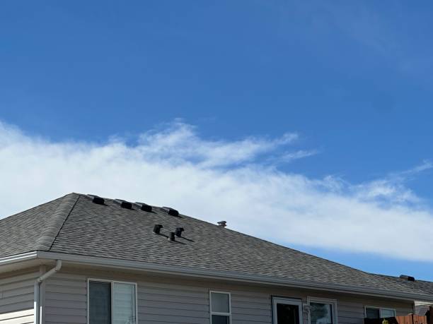 Best Roof Coating and Sealing  in Harrisville, PA